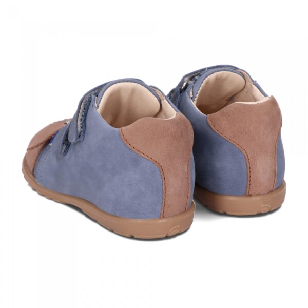 AMEKO Canis Blue - obrazek 3