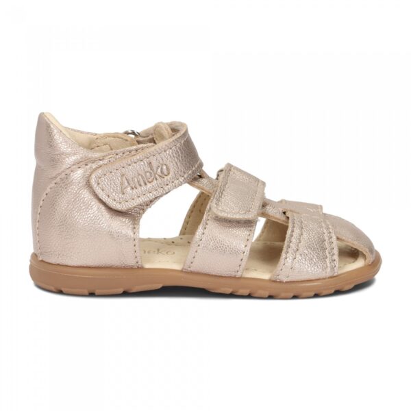 AMEKO A10 Safari Gold - obrazek 2